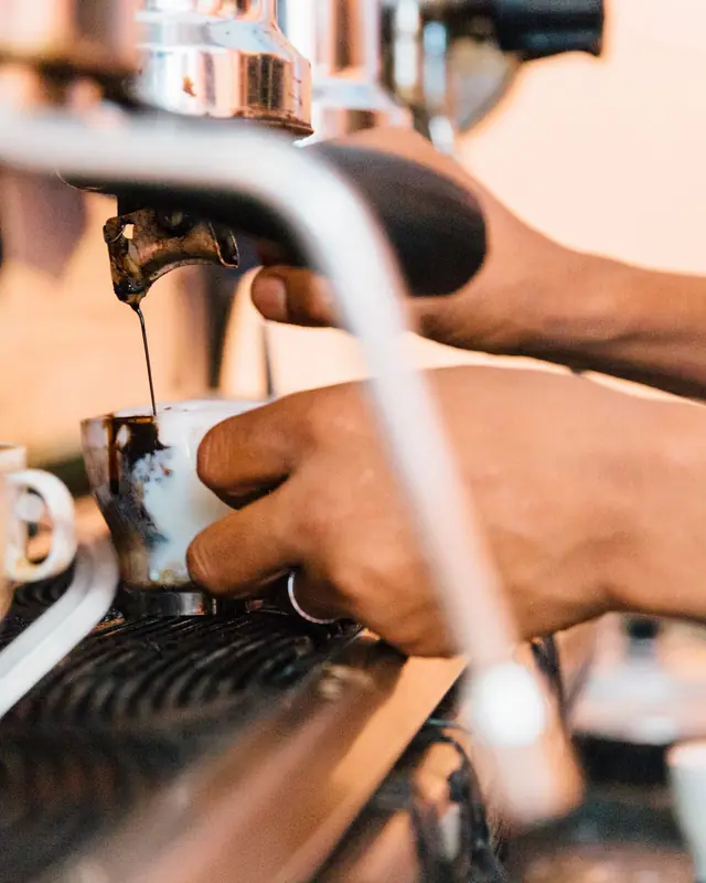 Waring Brew: Café e água quente