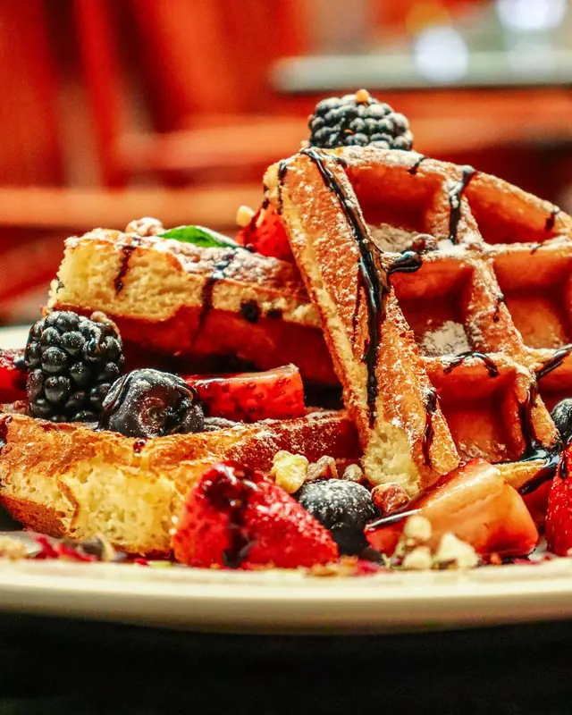 Waring Cook: Waffle, panini, forno e chapa