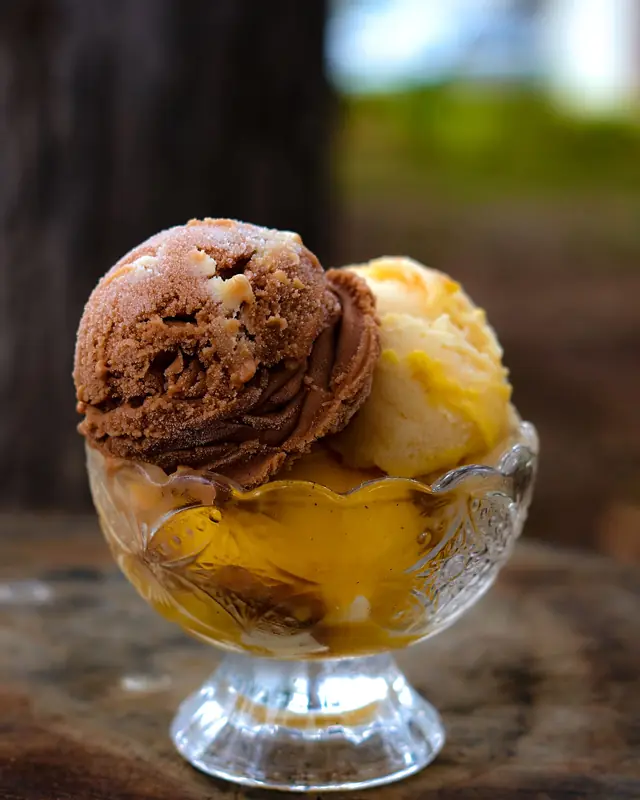Waring Sorvete: Sorvete, gelato e casquinha